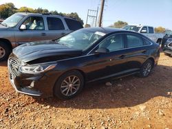 Hyundai salvage cars for sale: 2019 Hyundai Sonata SE