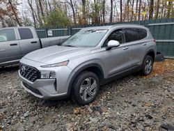 Hyundai Santa fe salvage cars for sale: 2023 Hyundai Santa FE SEL