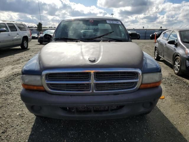 2004 Dodge Dakota SXT