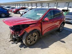 Ford Escape sel salvage cars for sale: 2020 Ford Escape SEL