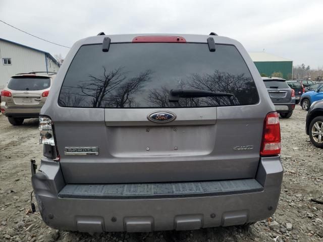 2008 Ford Escape Limited