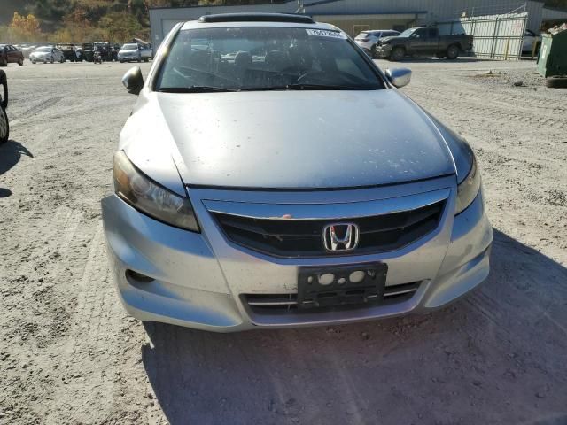 2011 Honda Accord EXL