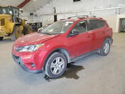 Toyota rav4 salvage cars for sale: 2015 Toyota Rav4 LE