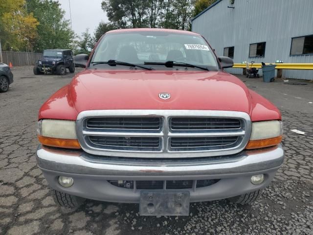 2004 Dodge Dakota SLT