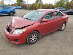 Toyota Corolla salvage cars for sale: 2009 Toyota Corolla Base