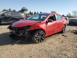 Toyota Vehiculos salvage en venta: 2019 Toyota Corolla L