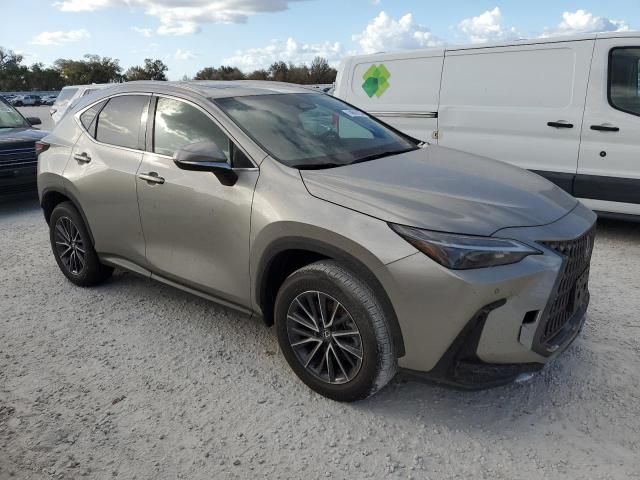 2024 Lexus NX 250 Premium