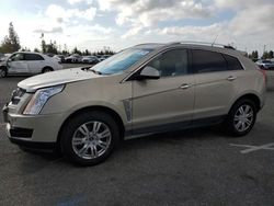 Cadillac srx salvage cars for sale: 2011 Cadillac SRX Luxury Collection