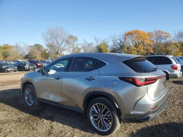 2022 Lexus NX 350