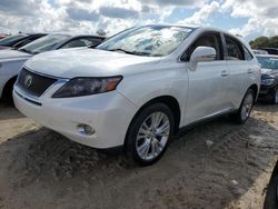 Lexus rx450 salvage cars for sale: 2010 Lexus RX 450H