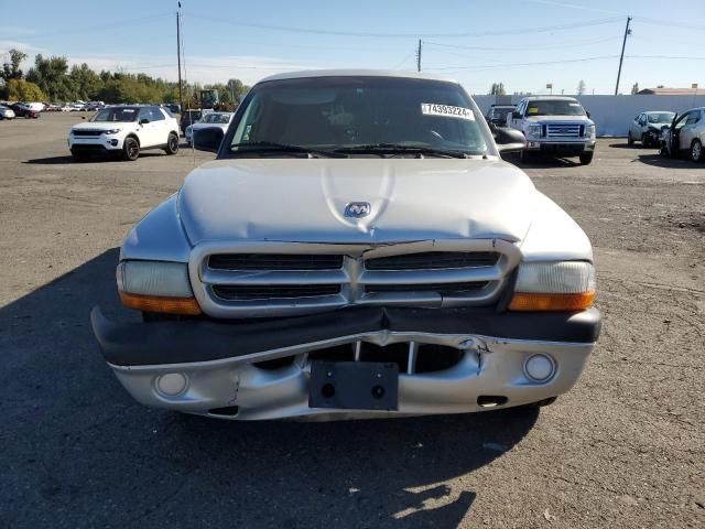 2001 Dodge Dakota