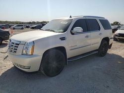 Cadillac Escalade salvage cars for sale: 2009 Cadillac Escalade Luxury