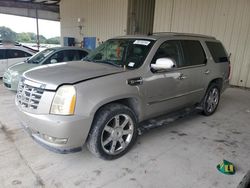 2009 Cadillac Escalade Hybrid for sale in Homestead, FL