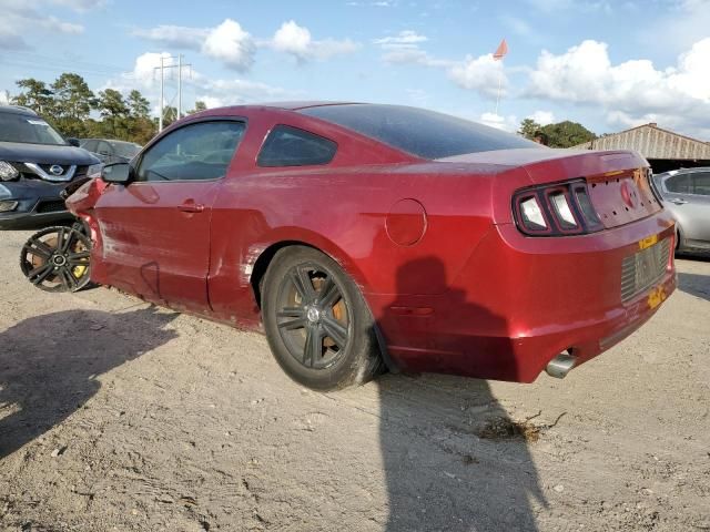 2014 Ford Mustang