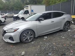 Nissan salvage cars for sale: 2019 Nissan Maxima S