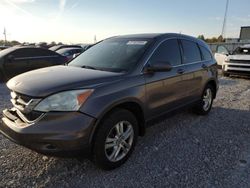 Honda crv salvage cars for sale: 2010 Honda CR-V EXL