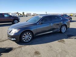 Lexus ls460 salvage cars for sale: 2009 Lexus LS 460