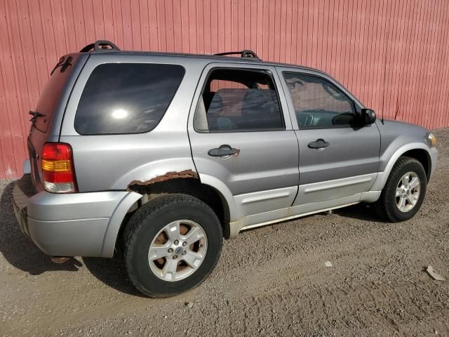 2007 Ford Escape XLT