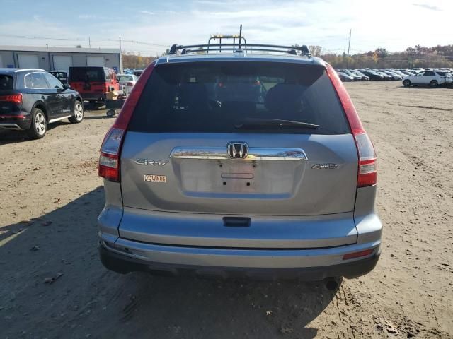 2010 Honda CR-V EXL