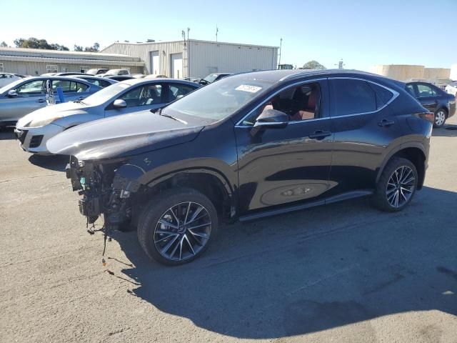 2024 Lexus NX 250 Base