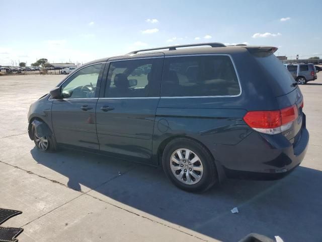 2010 Honda Odyssey EXL