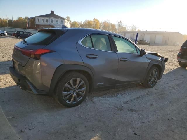 2019 Lexus UX 250H