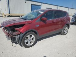 Ford salvage cars for sale: 2016 Ford Escape SE