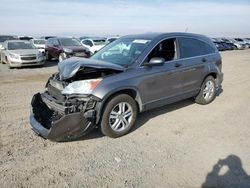 Honda crv salvage cars for sale: 2010 Honda CR-V EX