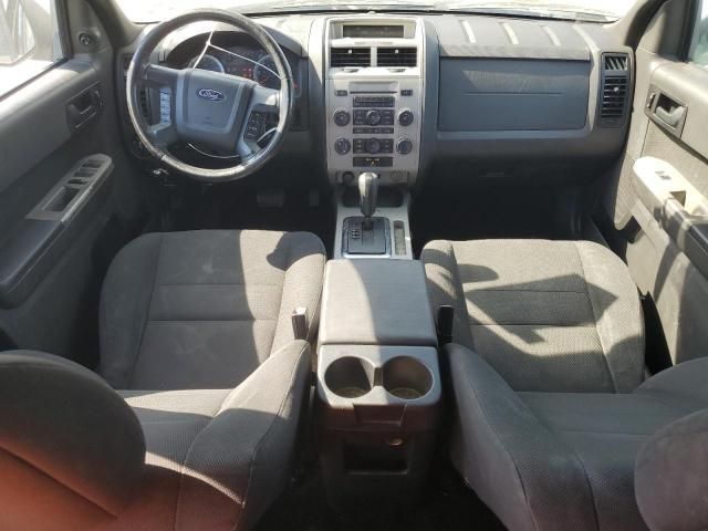 2009 Ford Escape XLT