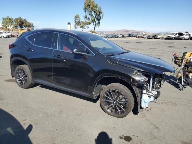 2024 Lexus NX 250 Base