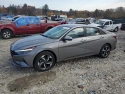 Hyundai Elantra salvage cars for sale: 2023 Hyundai Elantra SEL