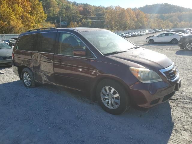 2009 Honda Odyssey EXL