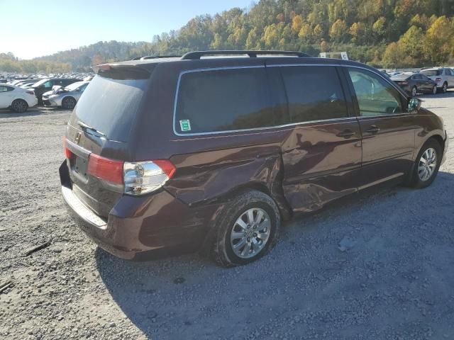 2009 Honda Odyssey EXL