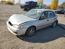 Toyota Corolla salvage cars for sale: 2002 Toyota Corolla CE