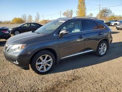 Lexus salvage cars for sale: 2010 Lexus RX 350