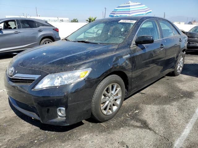 2010 Toyota Camry Hybrid