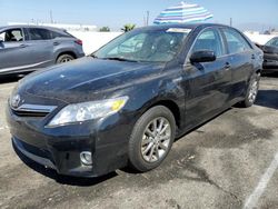 Toyota Camry salvage cars for sale: 2010 Toyota Camry Hybrid