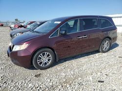 Honda Odyssey exl salvage cars for sale: 2012 Honda Odyssey EXL