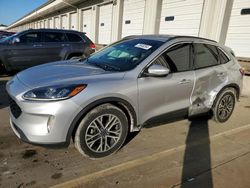 Ford salvage cars for sale: 2020 Ford Escape SEL