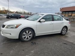 Honda Accord salvage cars for sale: 2010 Honda Accord EXL