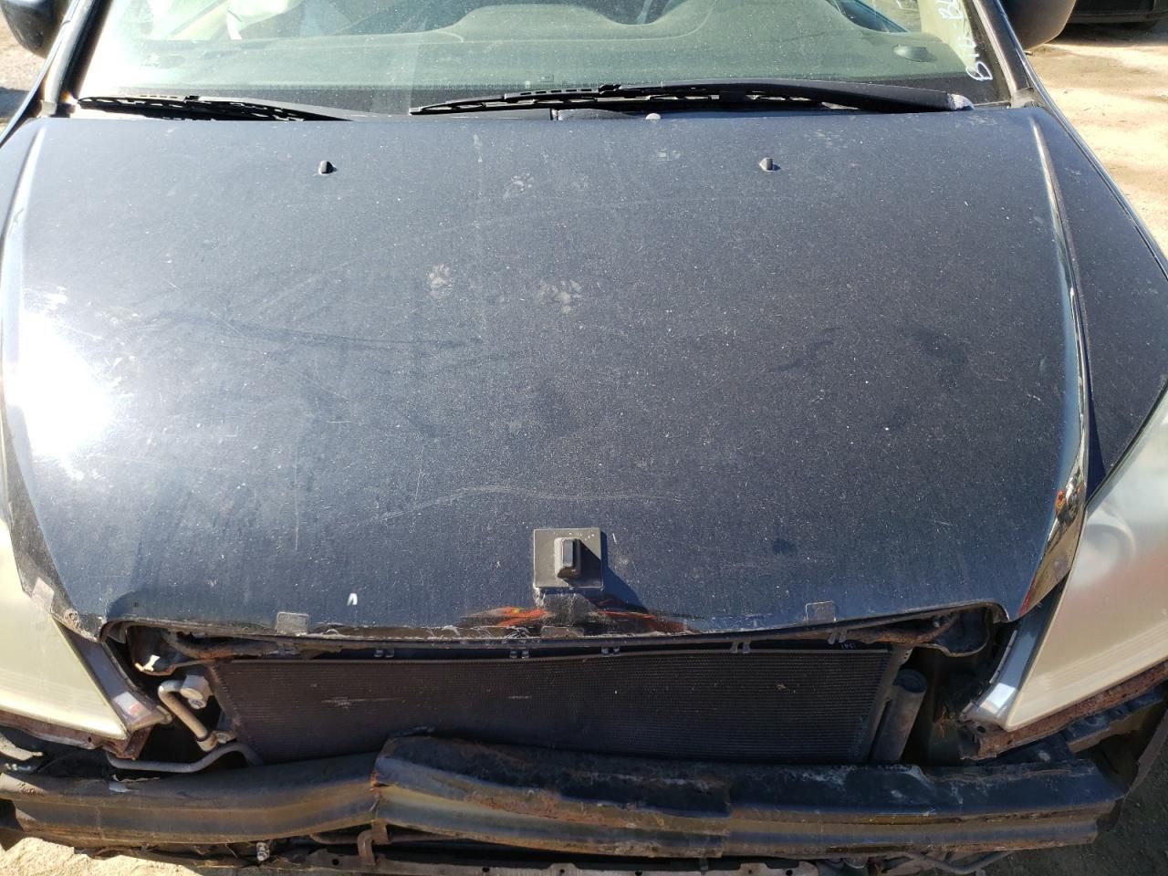 2007 Honda Odyssey EXL