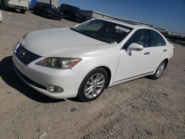 2010 Lexus ES 350