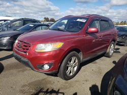 Hyundai Santa fe salvage cars for sale: 2010 Hyundai Santa FE SE