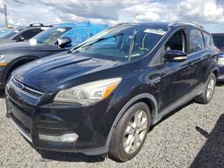 Ford Escape salvage cars for sale: 2016 Ford Escape Titanium