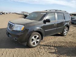 Honda Pilot salvage cars for sale: 2015 Honda Pilot Exln