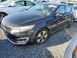 KIA Optima salvage cars for sale: 2013 KIA Optima Hybrid