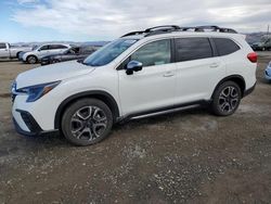 Subaru Ascent salvage cars for sale: 2023 Subaru Ascent Limited