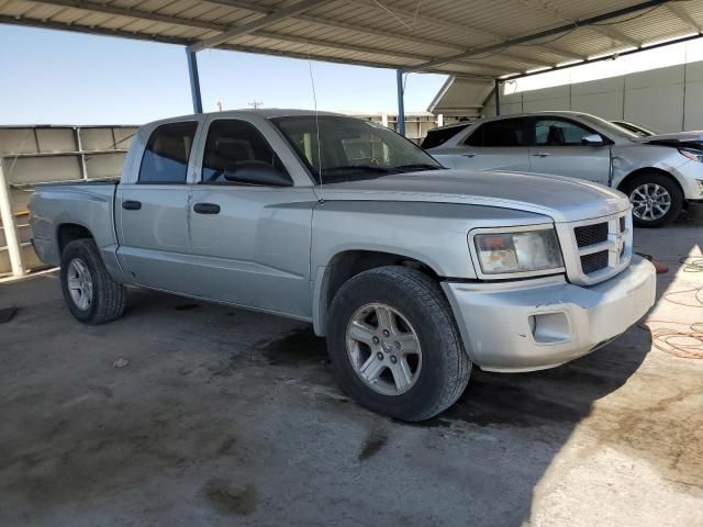 2011 Dodge Dakota SLT