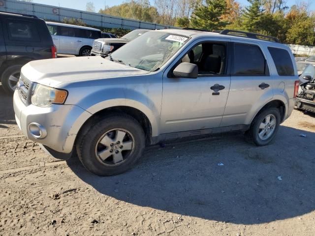 2011 Ford Escape XLT