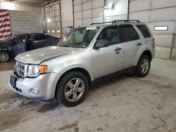 Ford Escape salvage cars for sale: 2011 Ford Escape XLT